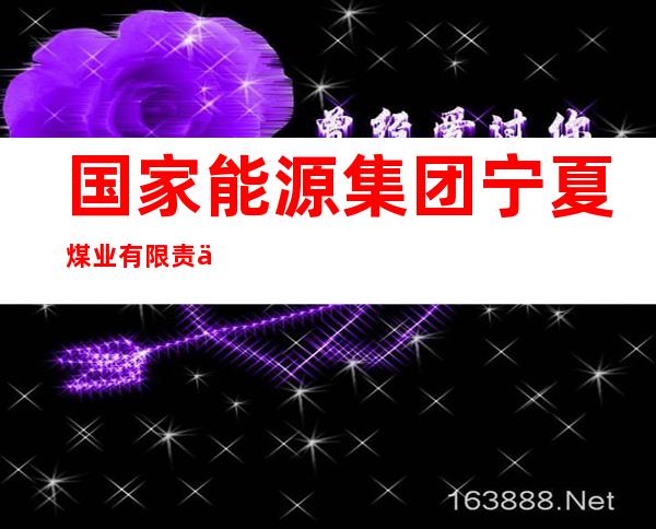 国家能源集团宁夏煤业有限责任公司矿山救护总队