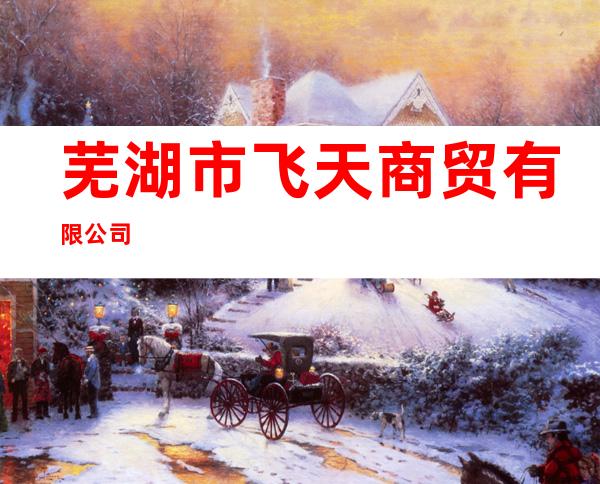 芜湖市飞天商贸有限公司